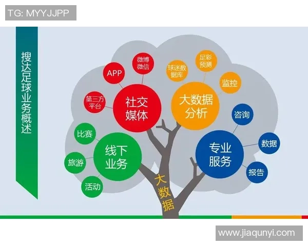全球足球市场身价最高球员揭晓背后的故事与数据分析